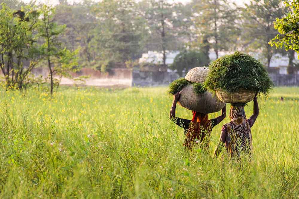 किसान सशक्तिकरण